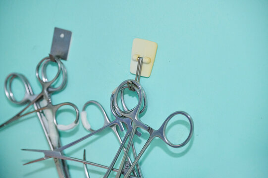 several metal veterinary surgical forceps hanging on a mint-colored wall