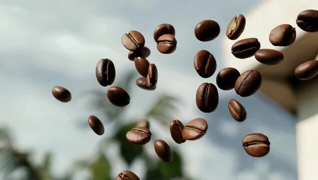 Exceptional 4K super slow-motion stock footage of countless gourmet coffee beans dramatically flying through the air featuring a dynamic speed ramp effect meticulously filmed at an extreme 1000fps