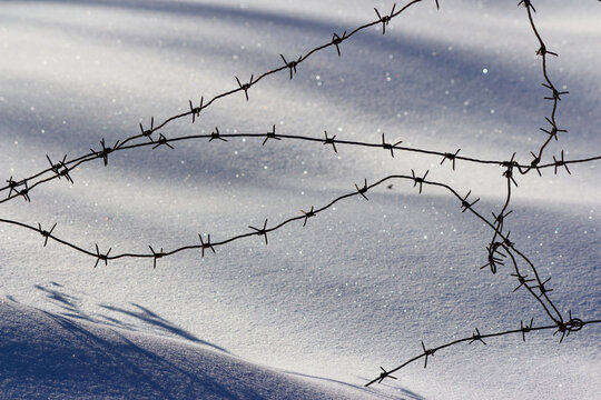 Sharp barbed wire strands stretch across a frozen landscape, evoking the bleak atmosphere of a desolate winter detention camp amidst snow-covered industrial ruins
