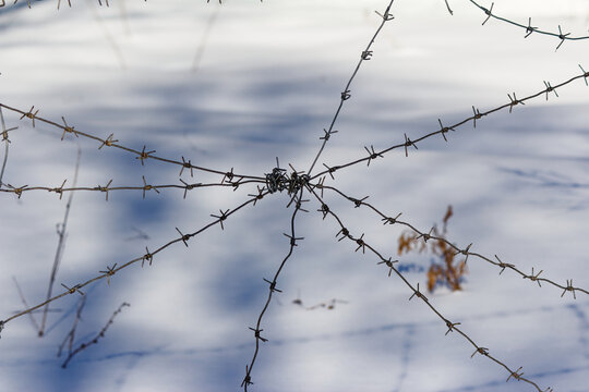 Sharp barbed wire intertwined against a pristine snowy backdrop evokes a haunting atmosphere of confinement and isolation, symbolizing a harsh winter gulag camp restricted environment