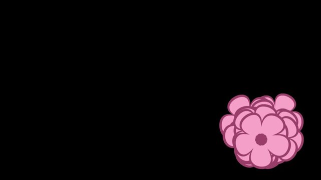 A 30 second motion graphic showcasing vibrant pink flowers with five rounded petals and darker centers, gracefully moving and spinning across a transparent background.