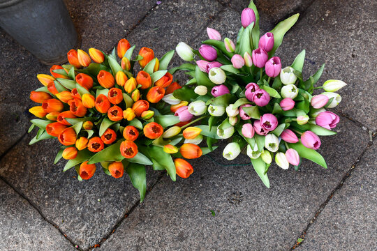 Top view of colorful tulip flower bouquets with orange pink and white blossoms displayed on stone pavement in Genoa, Liguria, Italy
