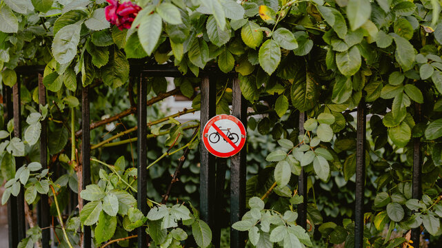 No bicycle sign surrounded by lush green foliage