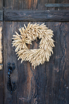 Rustic wreath made of golden wheat stalks hanging on old wooden door of country house, traditional harvest decoration and autumn farmhouse decor.
