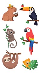 Naklejka premium A Vibrant Collection of Cute Cartoon Jungle Animals and Tropical Birds