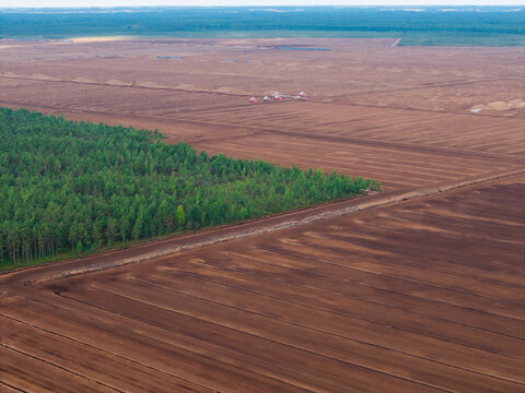 Aerial view of industrial peat extraction site with rows of harvested soil and adjacent green forest in Latvia.