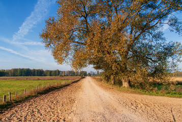 Daleko od szosy - Podlasie,, Polska © podlaski49