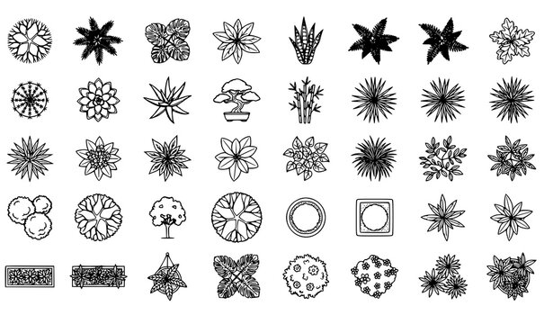 Architectural Plant Top View Vector Blocks with Houseplants Trees Pots and Landscape Symbols