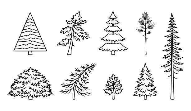 Minimal evergreen fir pine tree hand drawn outline vector icon collection