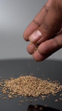 A hand slowly sprinkles fresh Ajwain seeds (Trachyspermum ammi) on a dark reflective surface, creating a small pile