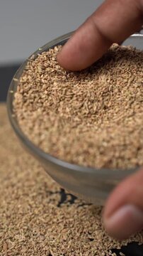Close Up View of Ajwain Seeds Pour and Spread on a Black Surface from a Glass Bowl by Hand, Indian Spice