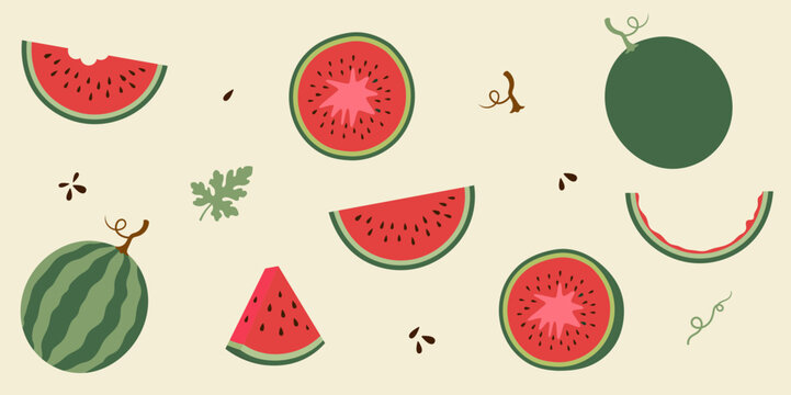 hand drawn watermelon set sliced full illustration