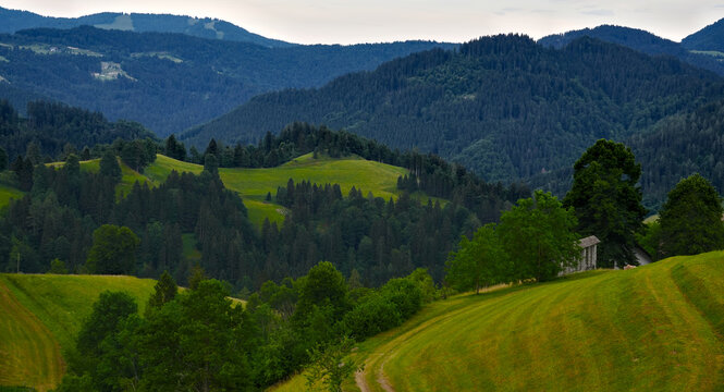 Rolling green agricultural fields and dense pine forests with a traditional wooden hayrack in Slovenia.