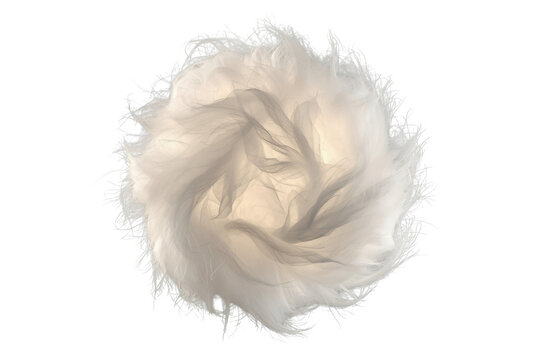 Soft white dandelion seed head viewed from above with airy filament texture