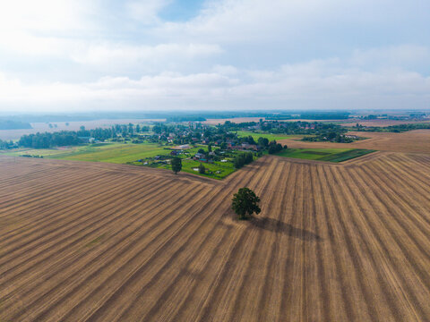 Aerial view of a harvested field with a solitary tree in the foreground and a small village settlement in the background under a cloudy sky in Jaunberze, Dobele Municipality, Latvia.