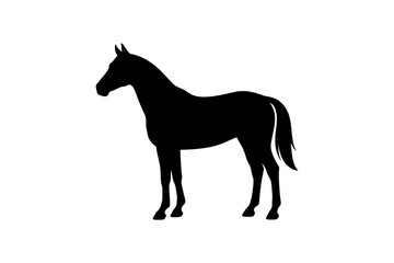 Fototapeta premium Silhouette of a graceful horse in profile view.