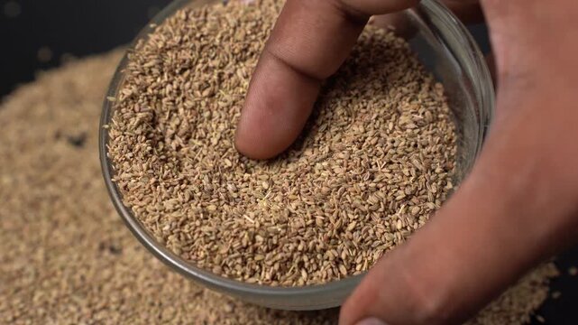 A Person's Hand Holds a Bowl of Brown Carom Seeds or Ajwain, Then Sprinkles Them Onto a Dark Surface