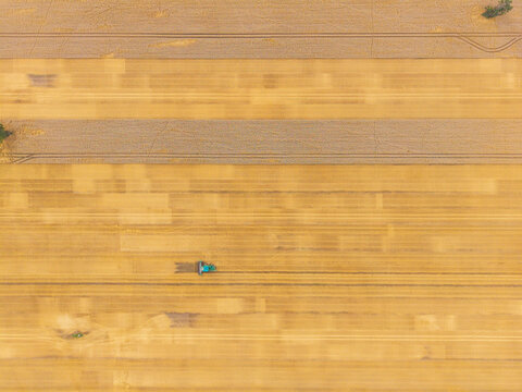 Aerial view of a combine harvester working in a vast golden wheat field in Latvia.