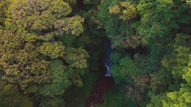 Aerial drone view of Coban Kaca waterfall flowing through dense tropical forest in Malang, East Java, Indonesia. The narrow waterfall cascades between lush green trees, creating a peaceful and seclude