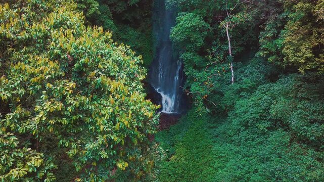 Aerial drone view of Coban Kaca waterfall flowing through dense tropical forest in Malang, East Java, Indonesia. The narrow waterfall cascades between lush green trees, creating a peaceful and seclude