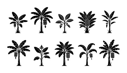 Fototapeta premium Banana Tree Silhouette Vector Collection Set of Tropical Palm Trees with Bananas