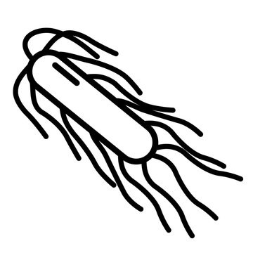 Scientific illustration of a rod shaped bacterial cell surrounded by numerous flagella, representing bacterial morphology, motility, and microbial structure.