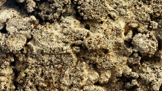 Dark brown rough lumpy dirt or textured mud wall