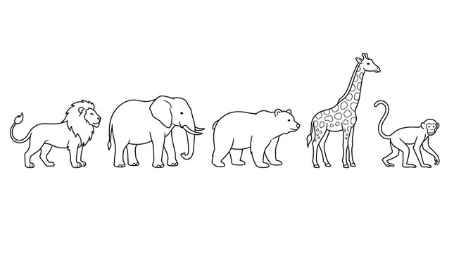 Minimalist line art illustration of wild animals in a horizontal row design