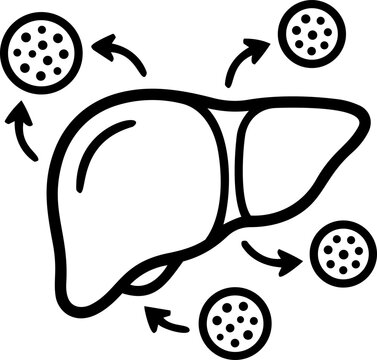Hepatitis B Virus Icon, HBV Infection Symbol, Viral Disease, Medical Healthcare and Liver Health Concept