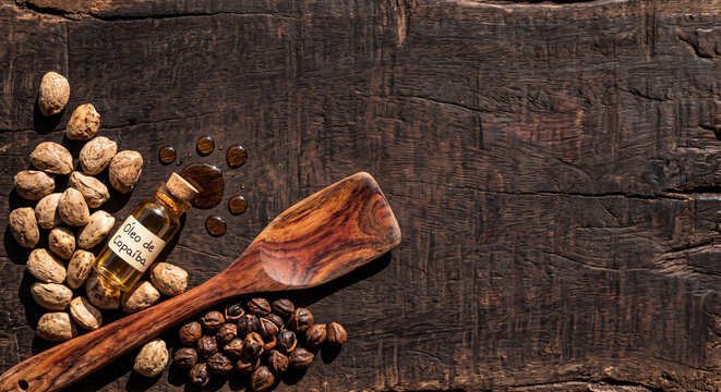 Top down view of Amazonian rainforest botanical seed remedies on hardwood slab
