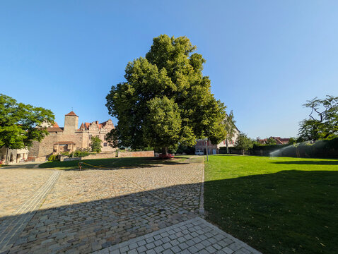 Baum, Park, Linde, Bank, Burg, Sommer