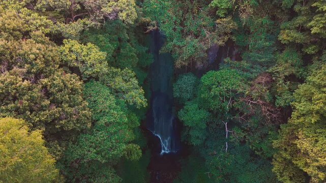 Aerial drone view of Coban Kaca waterfall flowing through dense tropical forest in Malang, East Java, Indonesia. The narrow waterfall cascades between lush green trees. 