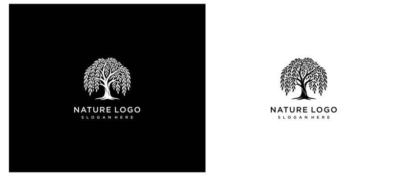 Willow Tree Logo Design Template