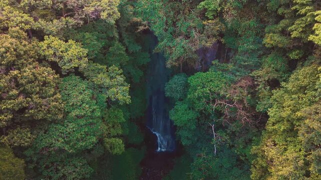 Aerial drone view of Coban Kaca waterfall flowing through dense tropical forest in Malang, East Java, Indonesia. The narrow waterfall cascades between lush green trees. 