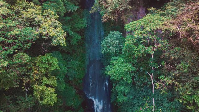 Aerial drone view of Coban Kaca waterfall flowing through dense tropical forest in Malang, East Java, Indonesia. The narrow waterfall cascades between lush green trees. 