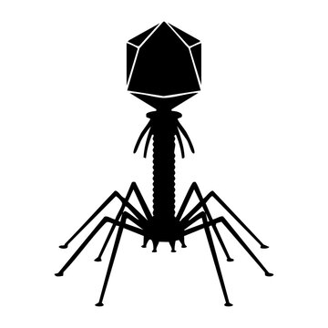 Bacteriophage vector silhouette