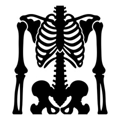 vector silhouette of human rib cage © Menhikki