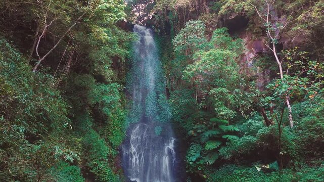 Aerial drone view of Coban Kaca waterfall flowing through dense tropical forest in Malang, East Java, Indonesia. The narrow waterfall cascades between lush green trees. 