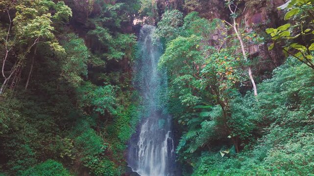 Aerial drone view of Coban Kaca waterfall flowing through dense tropical forest in Malang, East Java, Indonesia. The narrow waterfall cascades between lush green trees. 