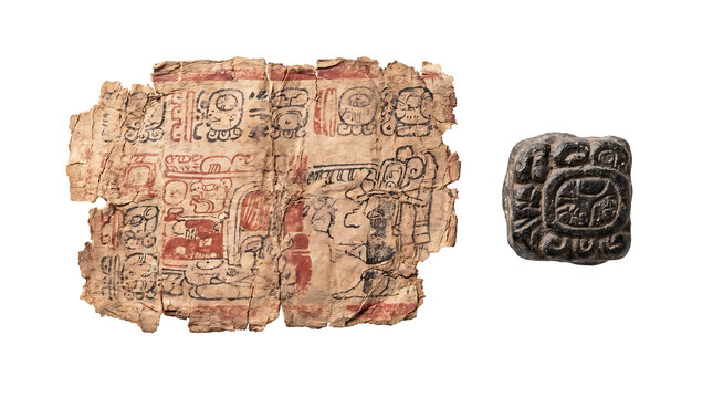 Ancient Mayan codex fragment and a carved stone glyph presented on a white background for educational textbooks, museum publications, and archaeological research.