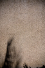 Fototapeta premium Shadows dance on a textured wall under the warm sunlight of a late afternoon