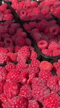 raspberries at the market. Rows of full pints of red raspberries at a farmers market or outdoor produce store. Organic fruit with antioxidants.