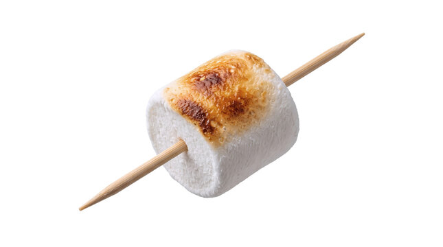Toasted Marshmallow on Wooden Skewer PNG on Transparent Background for Camping Dessert and Roasting