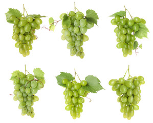 Naklejka premium Fresh grapes. Many clusters isolated on white, set