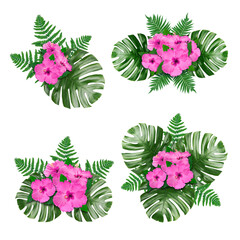 Hibiscus flowers and green tropical leaves in floral compositions on white background, set © New Africa