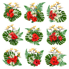 Hibiscus, strelitzia and plumeria flowers with green tropical leaves in floral compositions on white background, set © New Africa