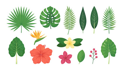 Fototapeta premium Tropical Leaves and Exotic Flowers Vector Asset Collection with Monstera, Palm Fronds, Hibiscus, Bird of Paradise, and Plumeria for Botanical Summer Designs