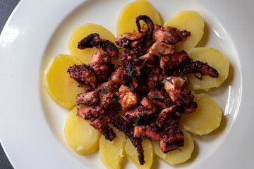 Grilled octopus pieces seasoned with smoked paprika and herbs, arranged over a flower-shaped ring of boiled potato slices on a white plate, top view. © Luca