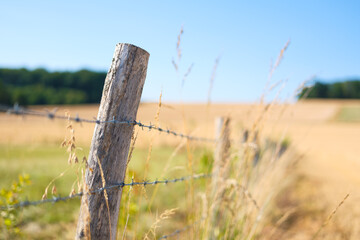 Naklejka premium Wooden fence with barbed wire for livestock protection on a farm. Summer countryside landscape with blurred fields and meadows.