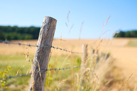 Wooden fence with barbed wire for livestock protection on a farm. Summer countryside landscape with blurred fields and meadows.